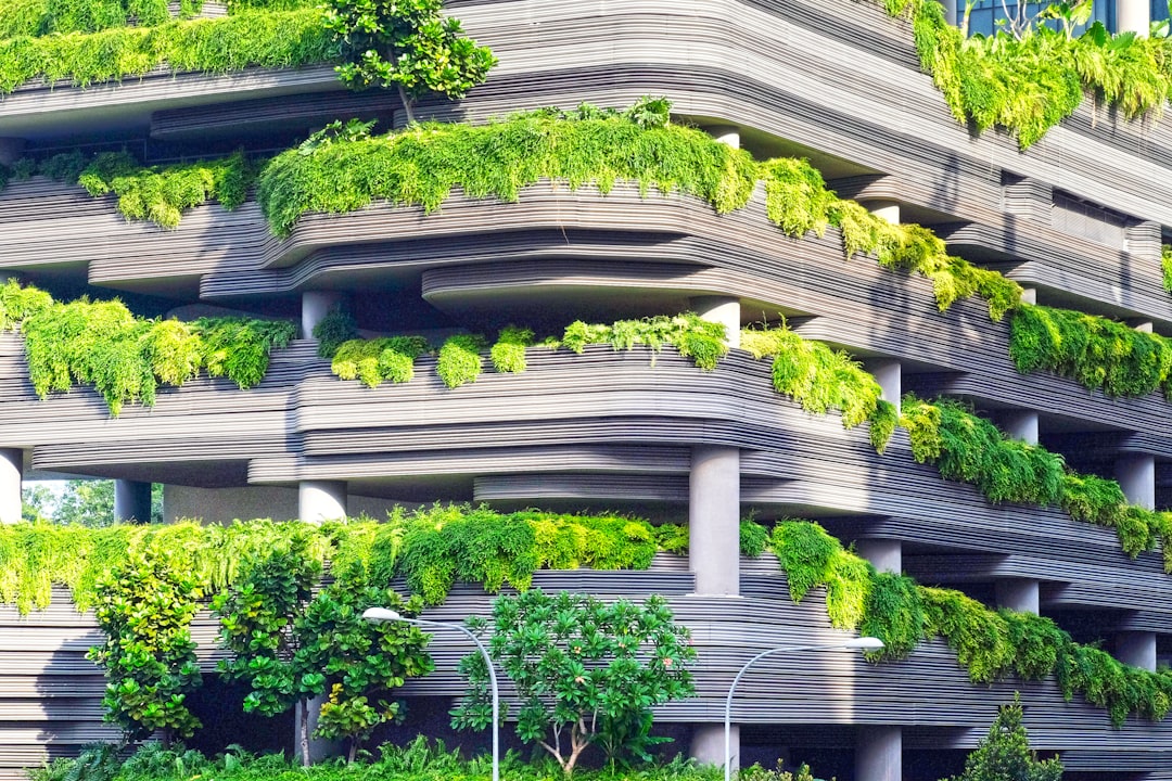 Green Building Materials: Cost-Effective Eco-Friendly Options (2026)
